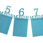 Photos banner, for babies, from 1 to 12 months, blue color